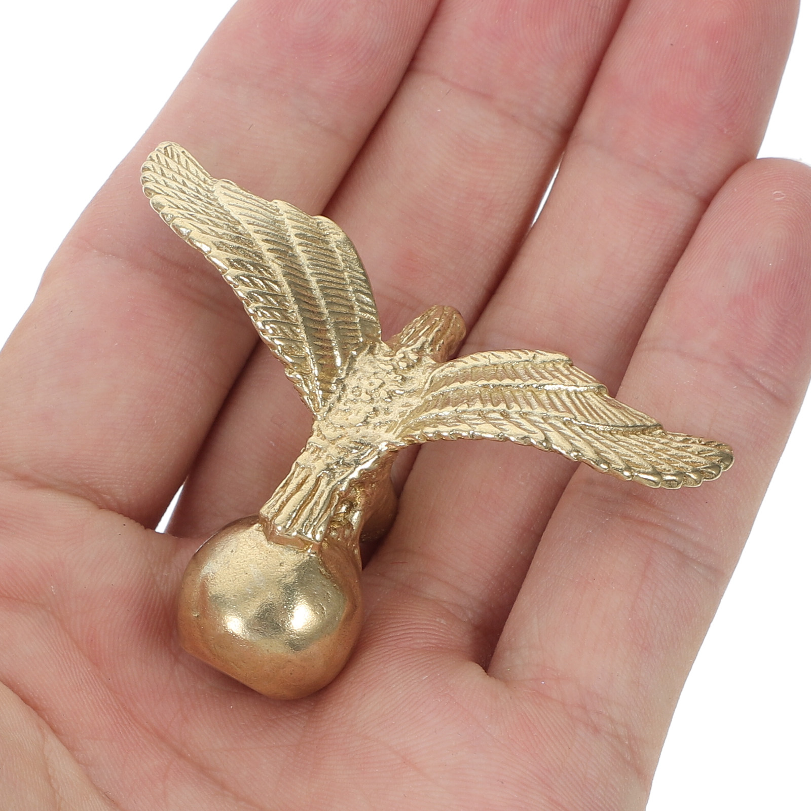 Eagle Cabinet Pull Brass Drawe - Unique Furniture Hardware review and price