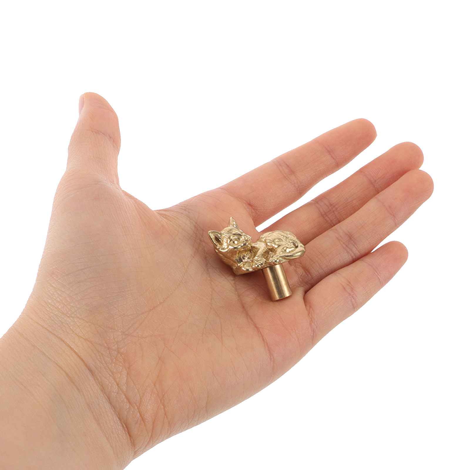 Cat Brass Door Handle Unique D - Unique Furniture Hardware review and price